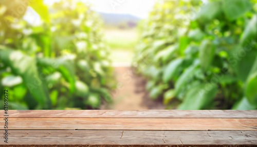 Wooden table top on blur plant vegetable or fruit organic farm background. For place food  drink or health care business. Fresh landscape and relax season concept. View of copy space.