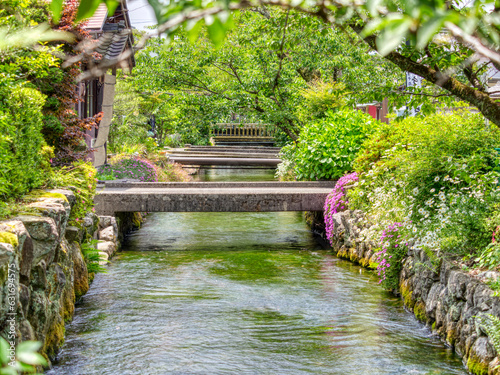 【HDR】花が咲く醒井宿の地蔵川 photo