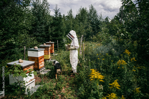 beekeeper and her dog smoking the hives