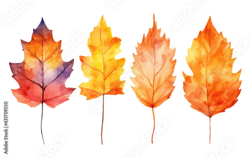 watercolor set vector illustration autumn leaf elements isolated on white background
