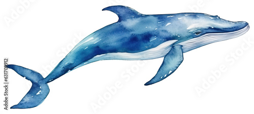 Blue whale watercolor isolated.