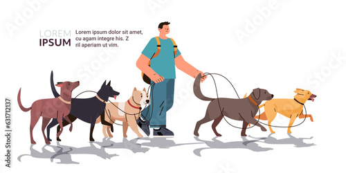 guy dog handler walks with pets best friends domestic animals walking service volunteering pet care concept