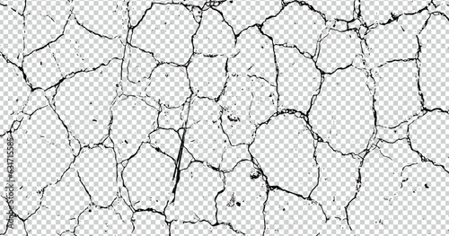 texture of the bark of a tree, grunge vector overlay design, grungy, spray, grunge background, noise, broken, dark, effect, splashing, black and white, vintage, dirty, black, background texture, 