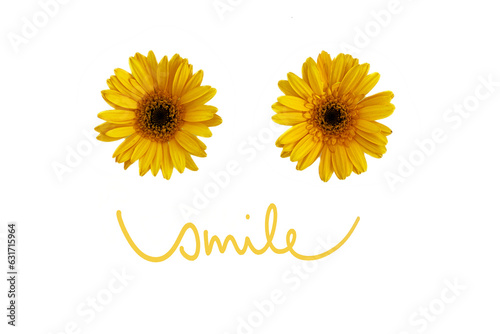 Fototapeta Naklejka Na Ścianę i Meble -  Zwei gelbe Gerberablüten als Augen und ein gelber Schriftzug smile als Mund, horizontal, weißer Hintergrund 
