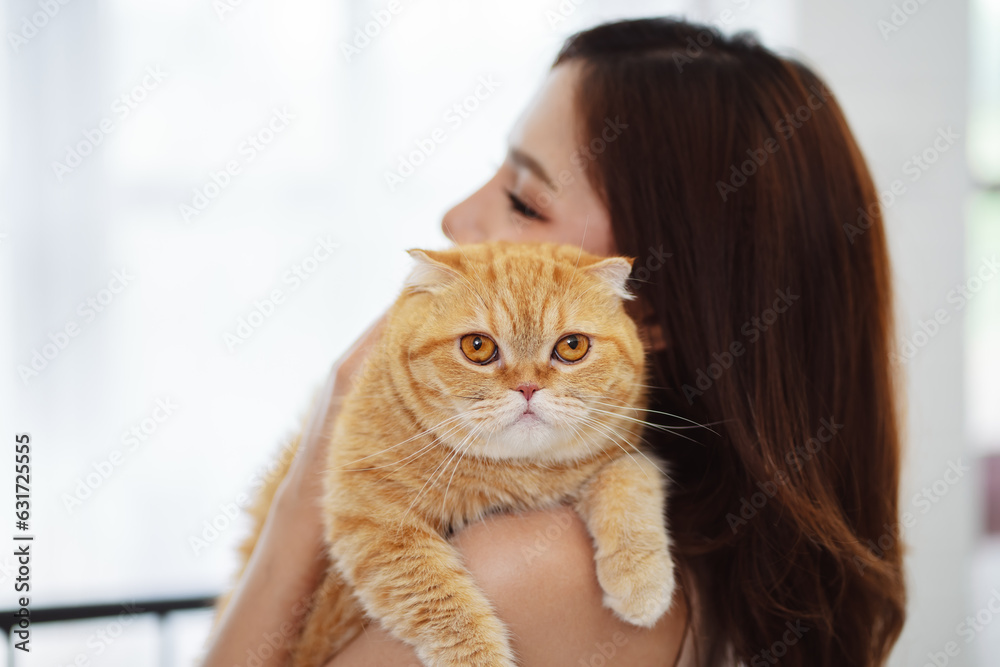 Happy Asian woman owner cute cat playful in a home. Friendship of pet and human people lifestyle. Happy Asian woman owner cute cat playful in a home. Friendship of pet and human people lifestyle.