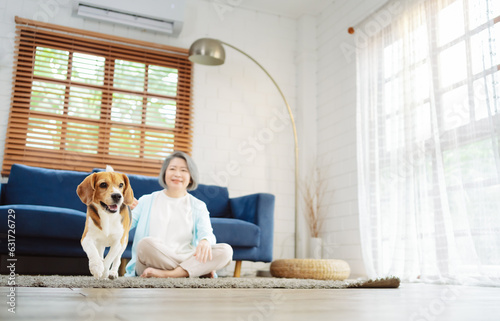 Happy asian senior woman retirement enjoying her dog pet running in the home, Friendship pet and human lifestyle concept.