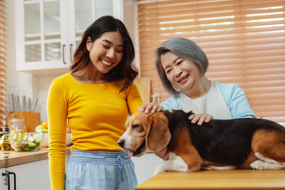 Happy asian senior woman retirement and daughter enjoying her dog pet in the home, Friendship pet and human lifestyle concept.