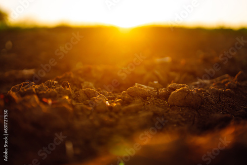 Fototapeta Naklejka Na Ścianę i Meble -  Clean soil for growing. Close-up black soil for gardening and agriculture. Selective focus. Ecology concept.