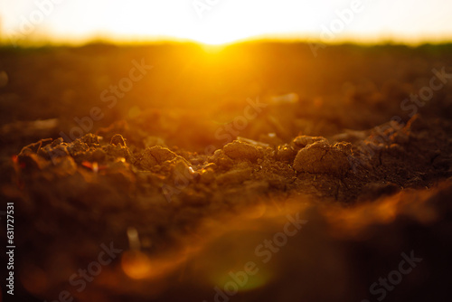 Clean soil for growing. Close-up black soil for gardening and agriculture. Selective focus. Ecology concept. photo