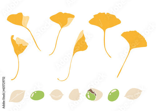 イチョウの葉と銀杏の実の装飾素材セット、ベクター