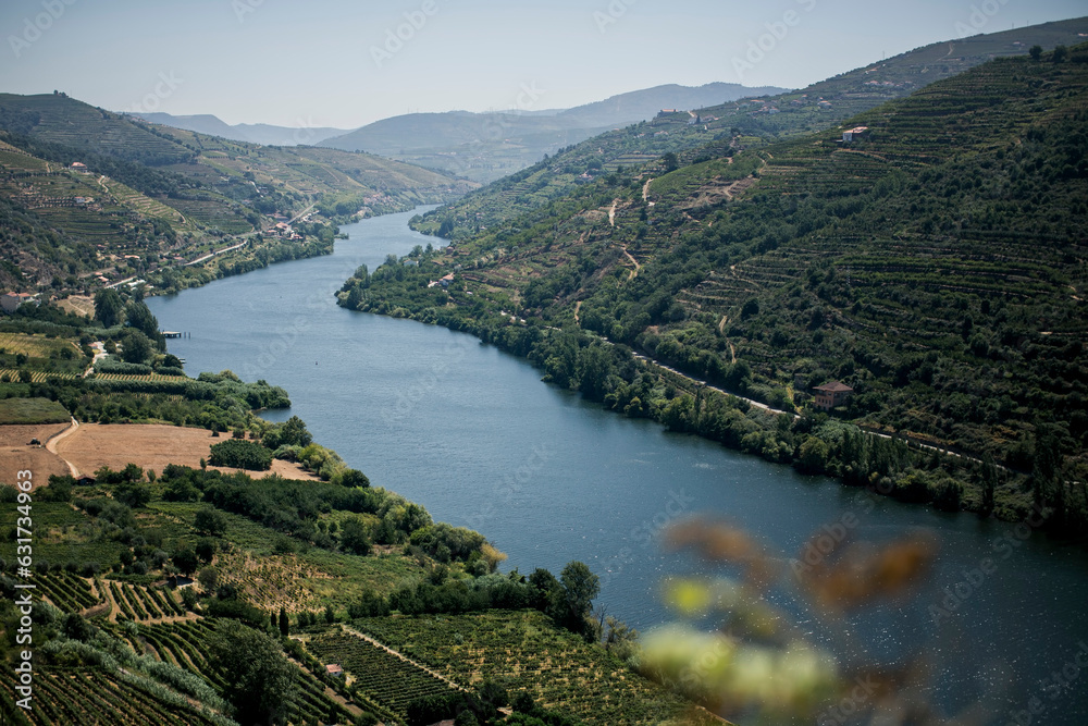 Panoramic view of the Douro river with high hills planted with vineyards, Douro Valley, Portugal.