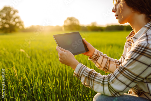 Young farmer woman in a green field of wheat with a digital tablet in her hands. Checking the progress of the harvest. Agriculture concept. Smart farm.