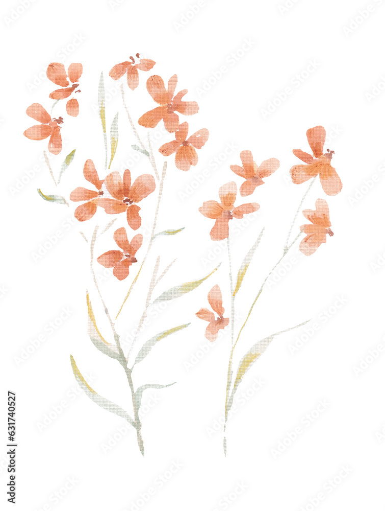Orange Watercolor Wild Flower Element
