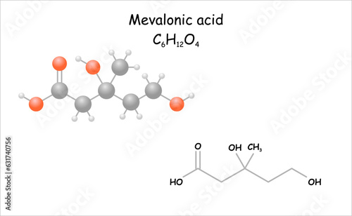 Mevalonic acid. Stylized molecule model and structural formula.