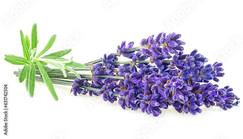 Fototapeta Naklejka Na Ścianę i Meble -  Bunch of lavender flowers and green leaves isolated on a white background