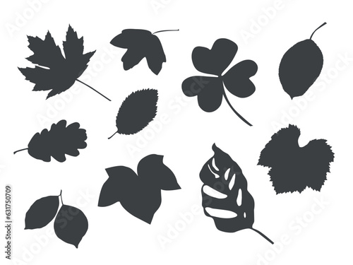 set of vector leaf silhouettes. shadows.