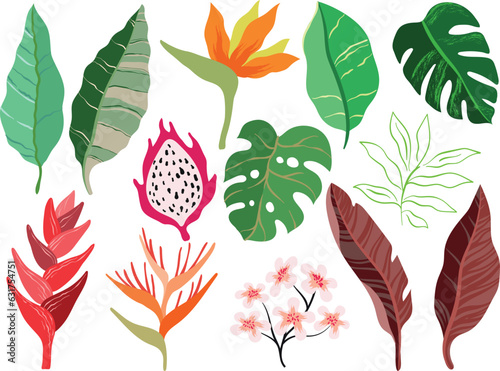 Set of tropical leaves, flowers, plants and fruit