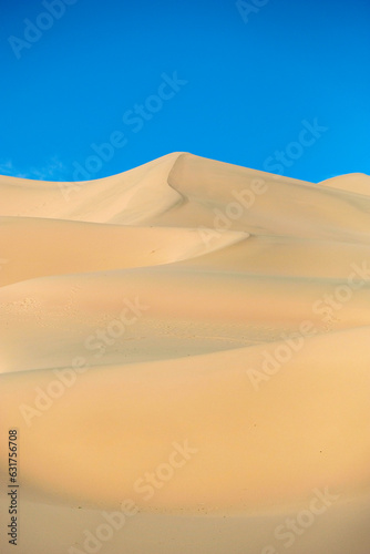 Khongor Sand Dunes in the Gobi Desert in Mongolia.