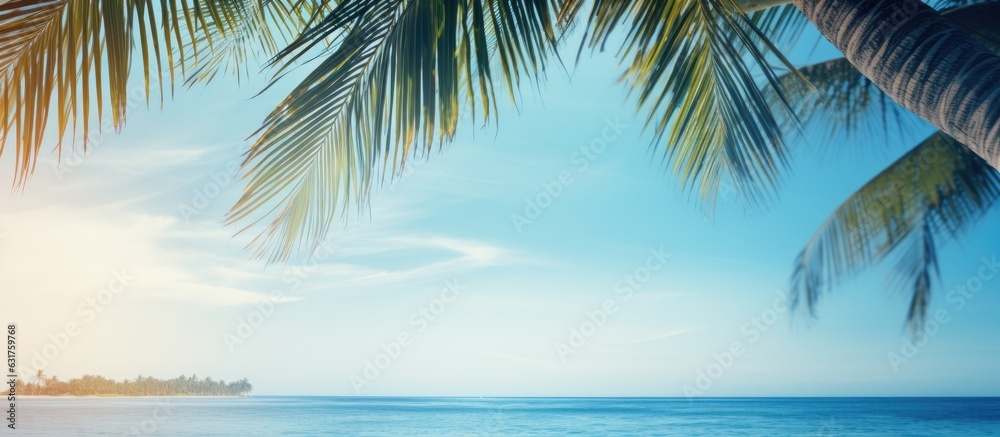 A view of a hazy blue sky and sea with out-of-focus light and coconut palm tree leaves. A tropical summer landscape that represents summer vacation.