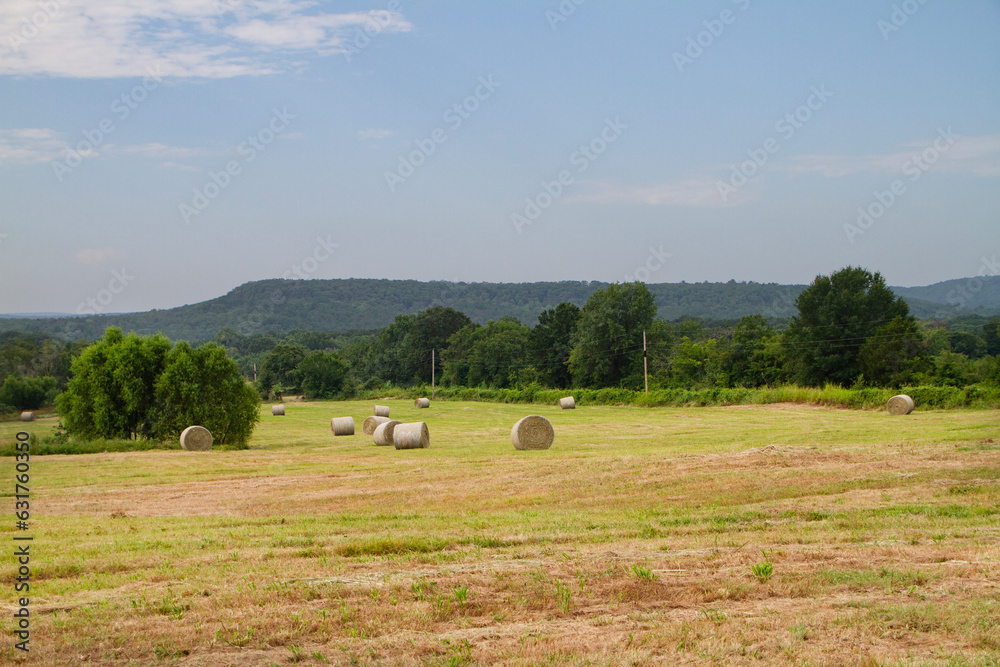 Hay field in eastern Oklahoma with mountains in the distance