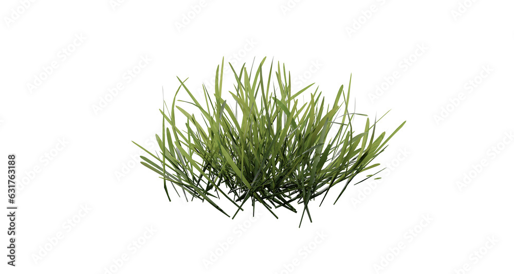 Bunches of grass on a transparent background. 3D rendering. Bunches of grass on a transparent background. 3D rendering.