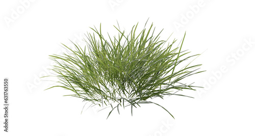 Bunches of grass on a transparent background. 3D rendering. 