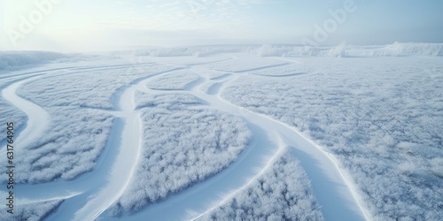 Drone view paisaje nevado y salvaje, precioso bosque totalmente nevado con caminos cubiertos de nieve photo