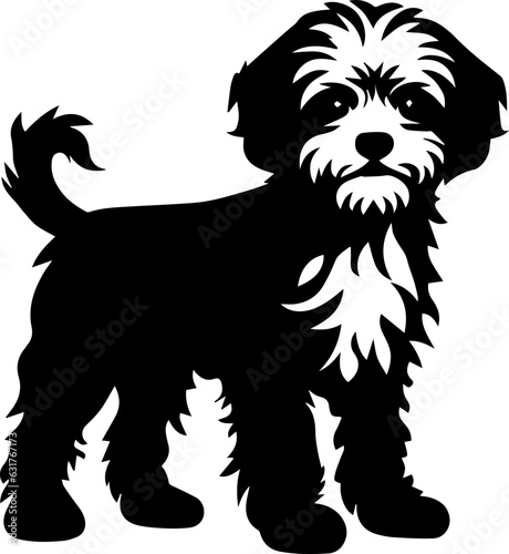 Eskipoo Dog Icon photo