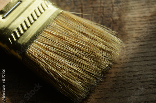 Paintbrush bristles