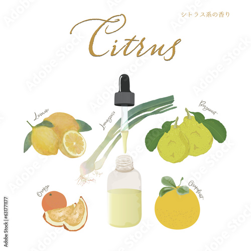 シトラス系の香り・アロマ・精油・柑橘系・レモン・オレンジ・ベルガモット