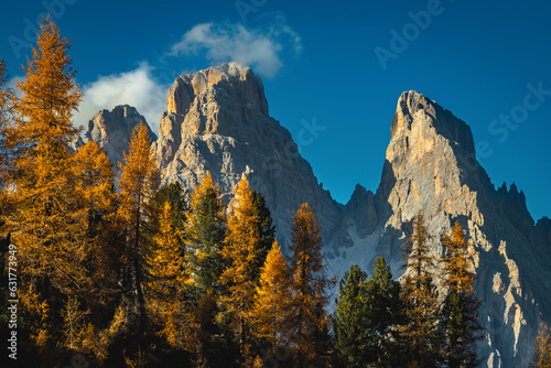 Colorful autumn larch forest and spectacular cliffs at sunset, Dolomites photo