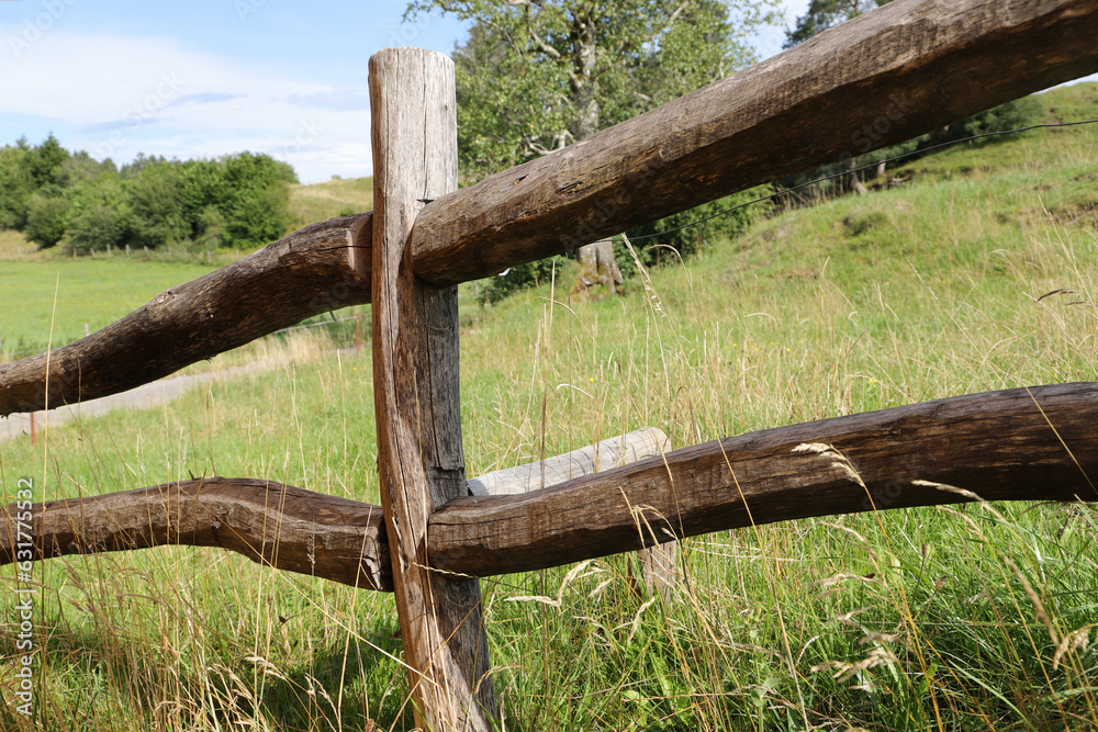 Fototapeta premium a beautiful garden fence made of wood