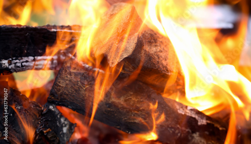 Close-up of burning piece of wood. Macro shot of flames of campfire at night. Great place for cooking in the forest. Bonfire, camping and warm up concept