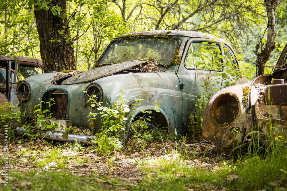 Car wreck in a forgotten car cemetery in a forest Car wreck in a forgotten car cemetery in a forest