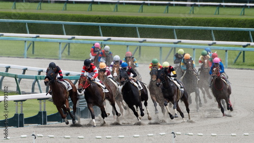 阪神競馬場にて、土埃をあげてレースをする馬の写真