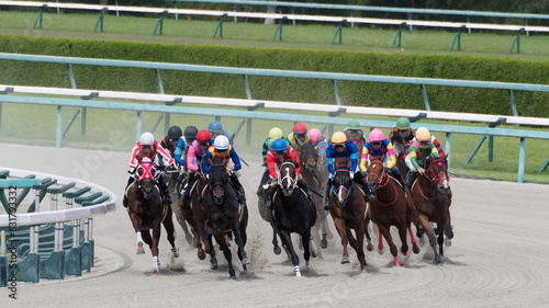 阪神競馬場にて、土埃をあげてレースをする馬の写真