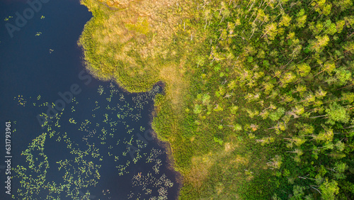 Top down view on a fresh and healty wetland with water and green plants and trees in sweden