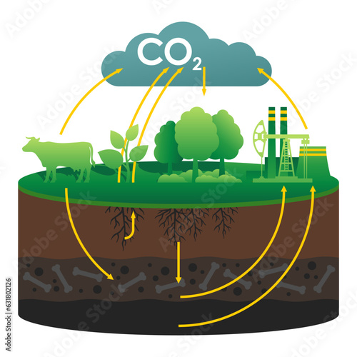 CO2 cycle - visual aid for scientific articles