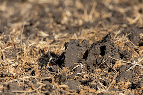 Dirt clod in soybean farm field after fall tillage. Soil erosion, compaction and agriculture concept.