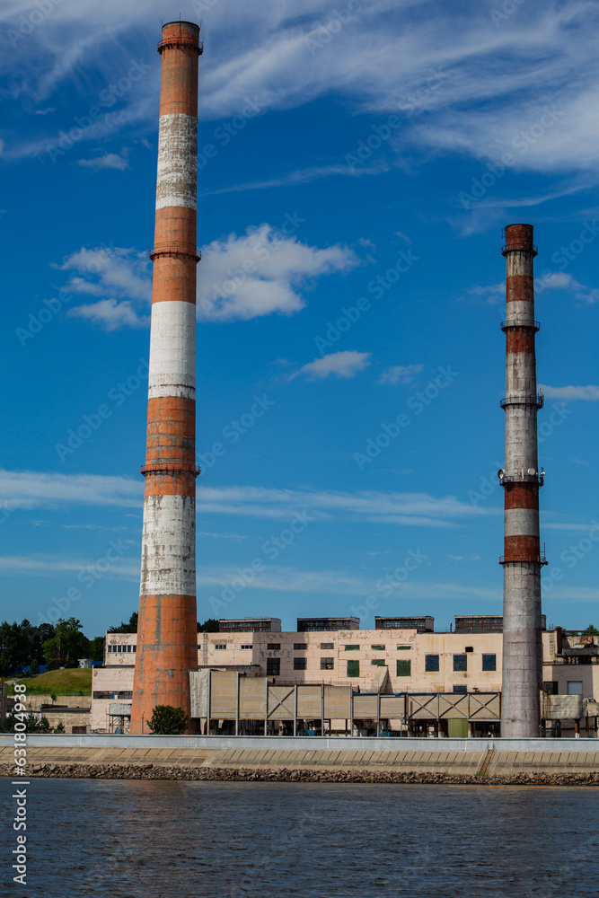 Fototapeta premium plant in the city