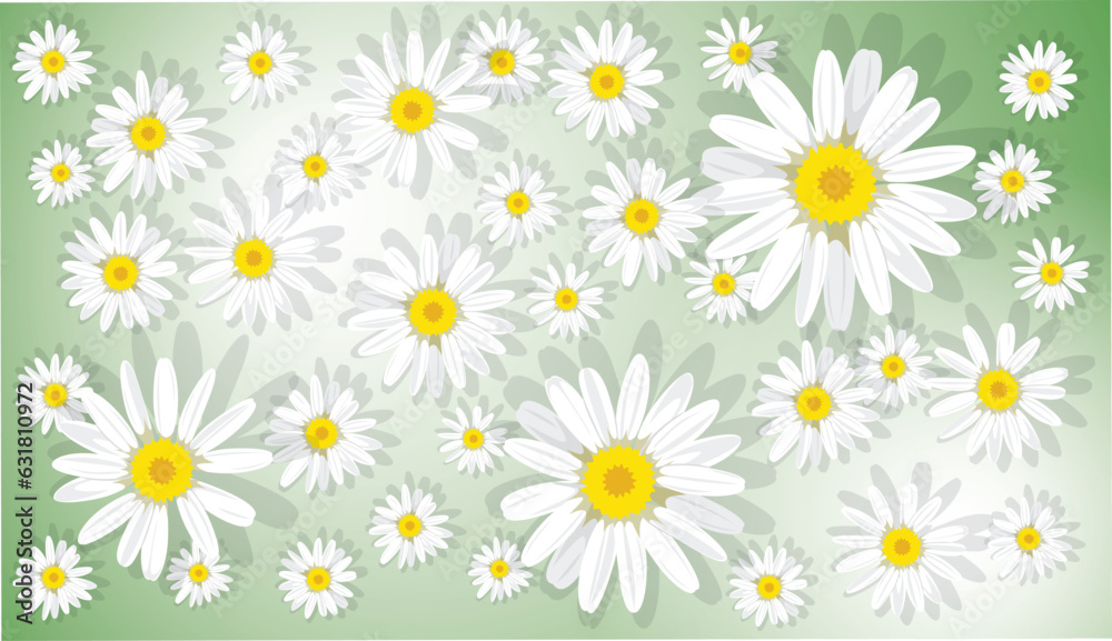 Floral background with daisies on a delicate green background in honor of mother's day, women's day March 8, valentine's day, wedding