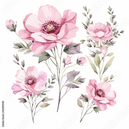 set of pink roses