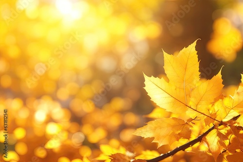 Yellow  orange red brown september autumn leaves background