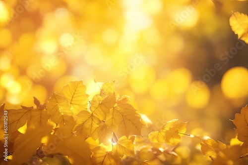 Yellow, orange red brown september autumn leaves background