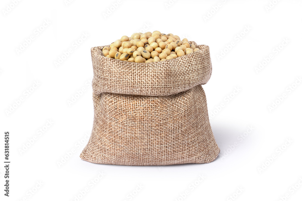 bag of soybean isolated on white background. bag of soybean isolated on white background.
