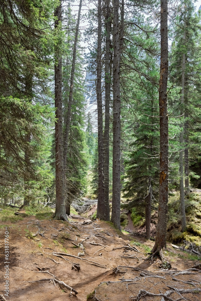 Fototapeta  Cinema delle Odle in the Italian Alps