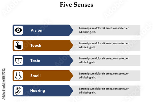 Five Senses - Vision, Tough, Taste, Smell, Hearing. Infographic template with icons