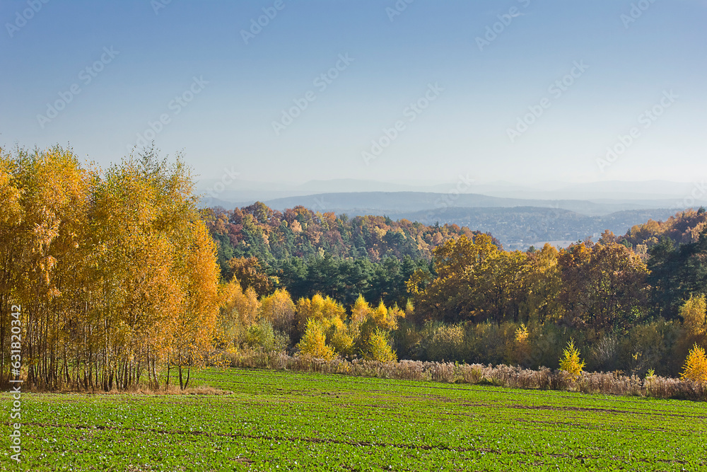 Autumn landscape with a field, yellow trees and mountains in the distance