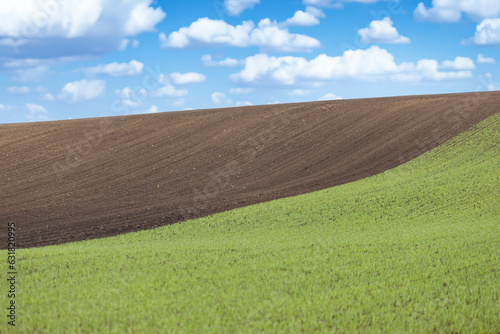 Danish agriculture