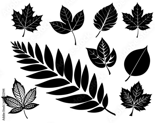 Set of decorative vector leaves for uoyr decor.